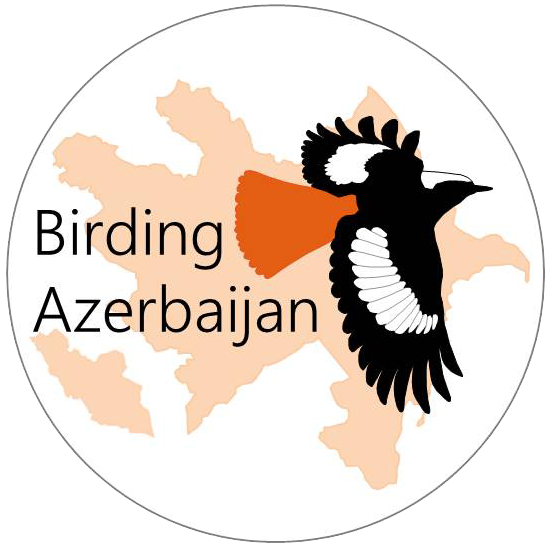 Birding Azerbaijan / Beshbarmag BMC Project logo