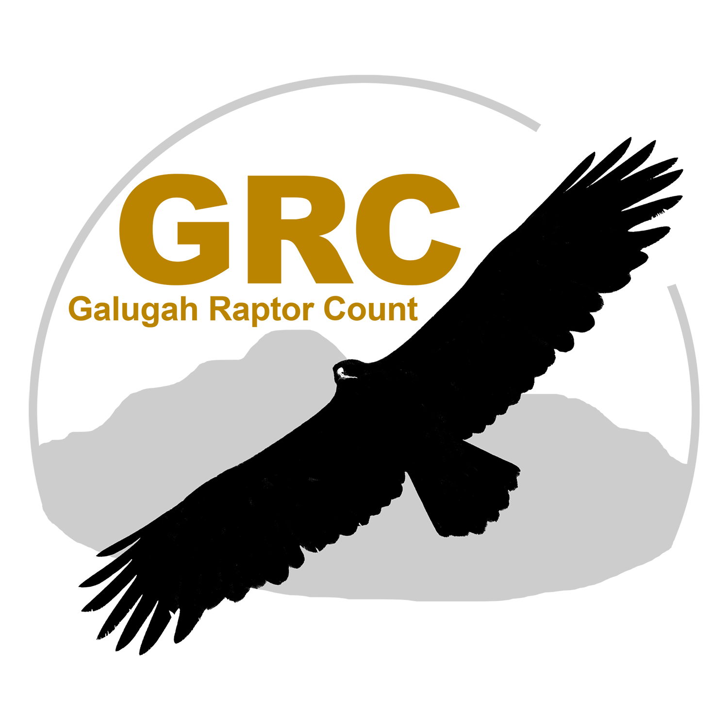 Galugah Raptor Count logo